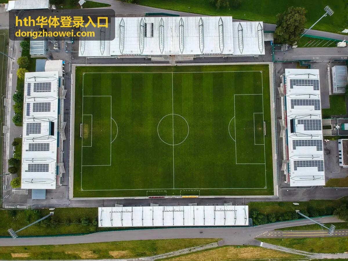 hth华体登录入口表单填写顺序与字段说明