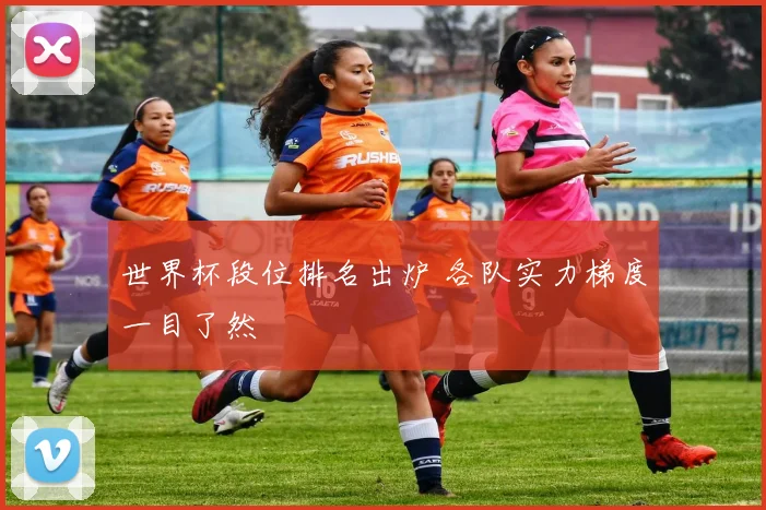 世界杯段位排名出炉 各队实力梯度一目了然